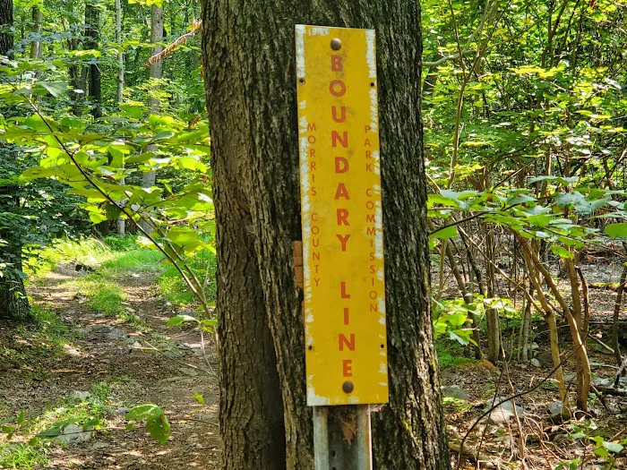 Fire Tower Trail Picture 5