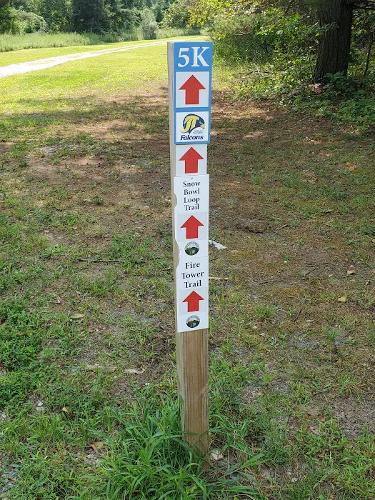 Fire Tower Trail Picture 3