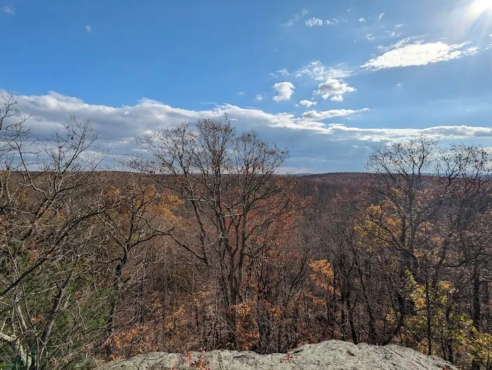 Rockaway River State Wildlife Management Area Picture 10
