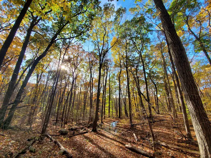 Rockaway River State Wildlife Management Area Picture 2