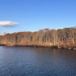 Rockaway River State Wildlife Management Area