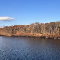 Rockaway River State Wildlife Management Area ico