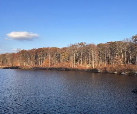 Rockaway River State Wildlife Management Area