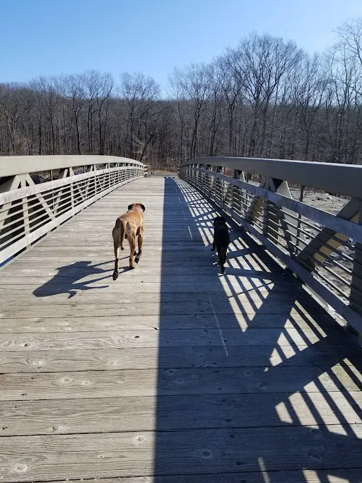 Rockaway River State Wildlife Management Area Picture 6