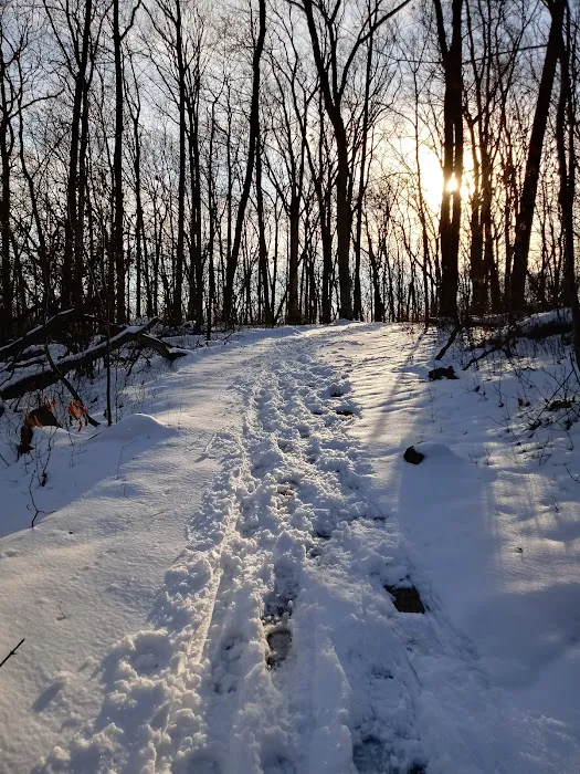 Rockaway River State Wildlife Management Area Picture 4