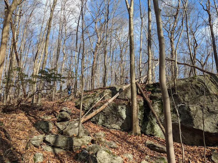 Rockaway River State Wildlife Management Area Picture 7