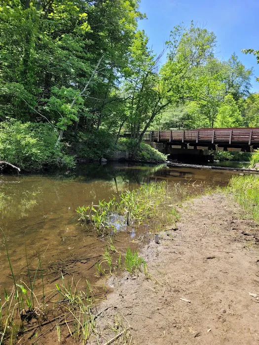 Rockaway River Wildlife Management Area (Parking) Picture 4