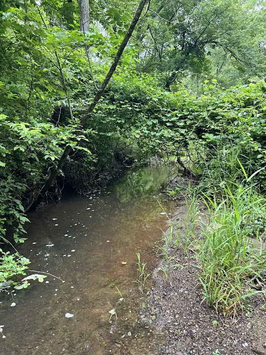 Rockaway River Wildlife Management Area (Parking) Picture 1