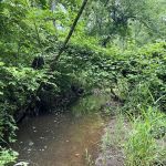 Rockaway River Wildlife Management Area (Parking)