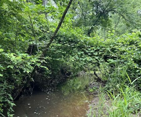 Rockaway River Wildlife Management Area (Parking)