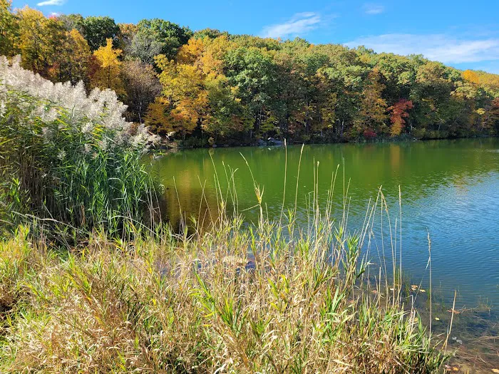 Mount Hope Pond Swimming Area Picture 7