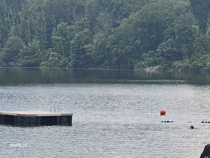 Mount Hope Pond Swimming Area Picture 10
