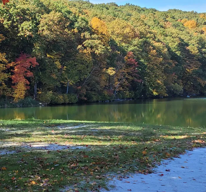 Mount Hope Pond Swimming Area Picture 8