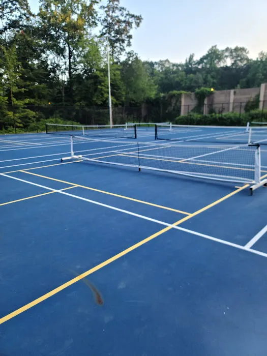 Pickleball Peterson Picture 1