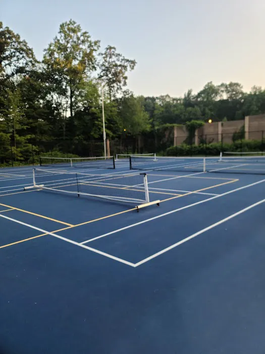 Pickleball Peterson Picture 2