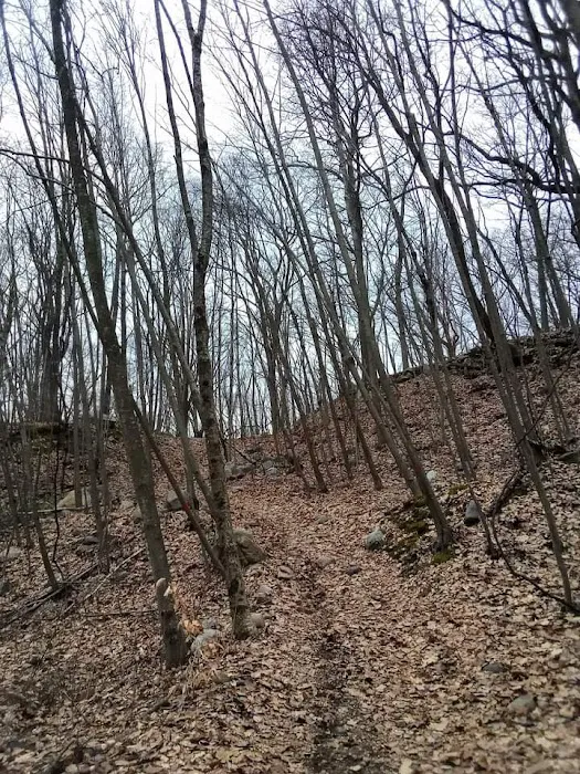 Mount Hope Historical Park Picture 6