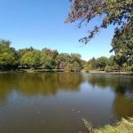 Meadowland Park