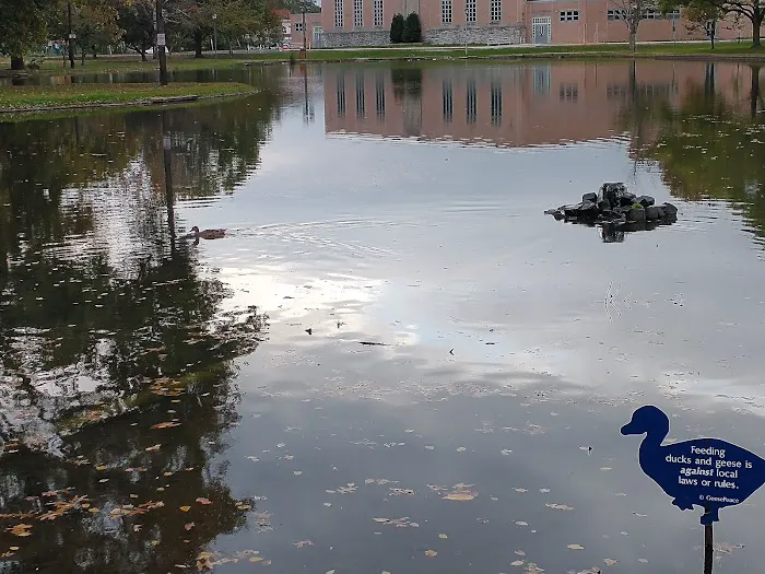 The Pond at Meadowland Park Picture 7