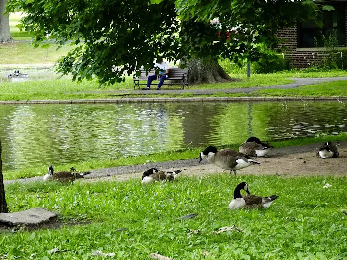 The Pond at Meadowland Park Picture 6