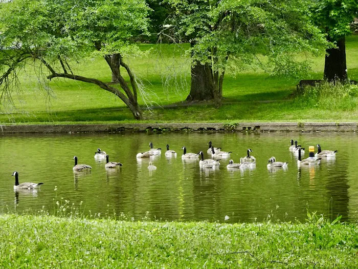 The Pond at Meadowland Park Picture 10