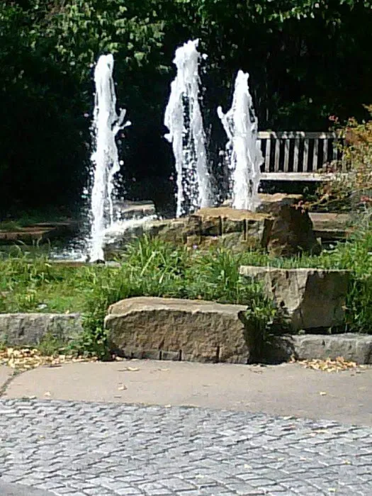 Spiotta Park Picture 1