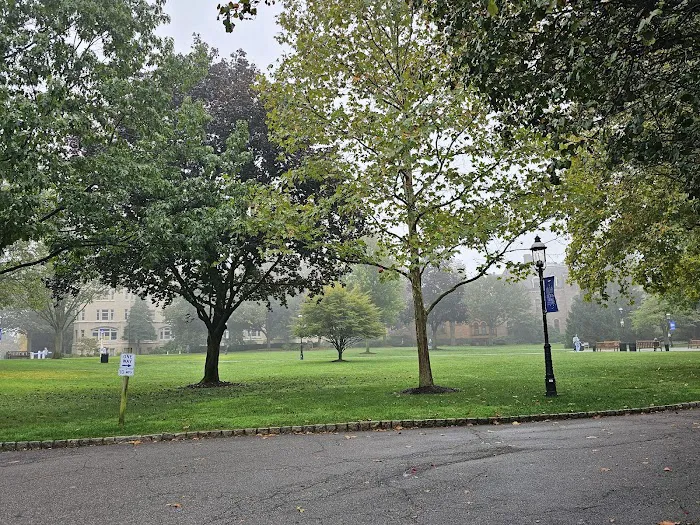 Galleon Lawn Picture 7