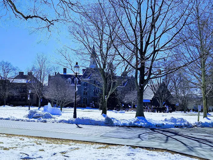 Galleon Lawn Picture 4