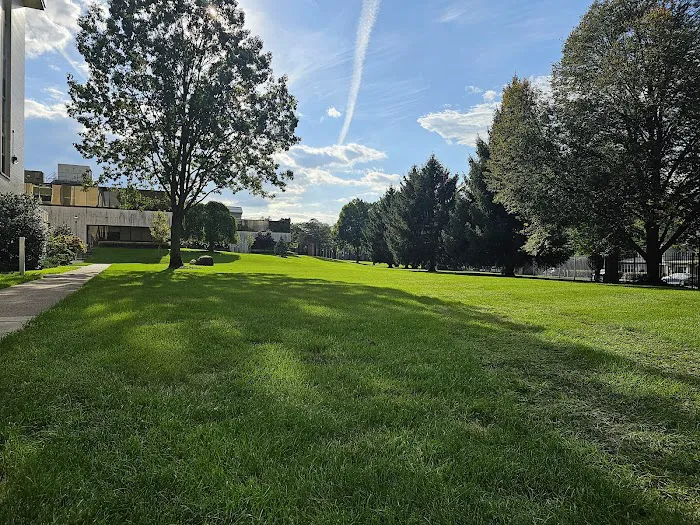 Galleon Lawn Picture 6