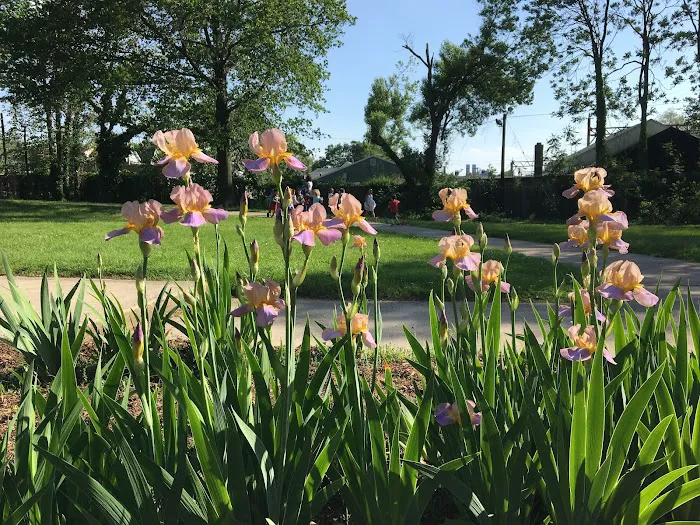 Founders Park Picture 3
