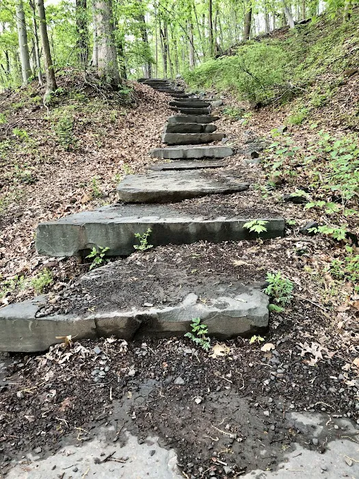 Quarry Trail Giant Steps Picture 9
