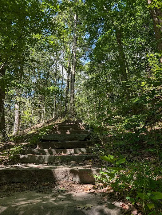 Quarry Trail Giant Steps Picture 3