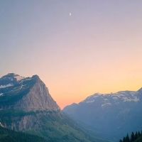 Locust Grove Spring ico