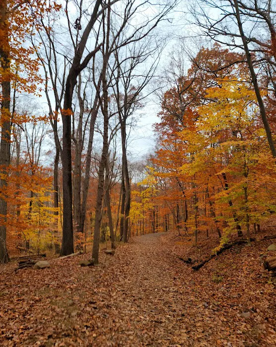 South Mountain - Fairy Trail Picture 4