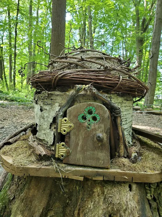 South Mountain - Fairy Trail Picture 9