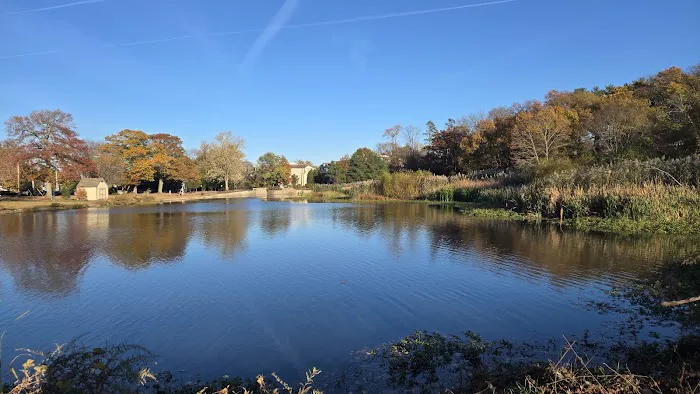 Briant Park Picture 5