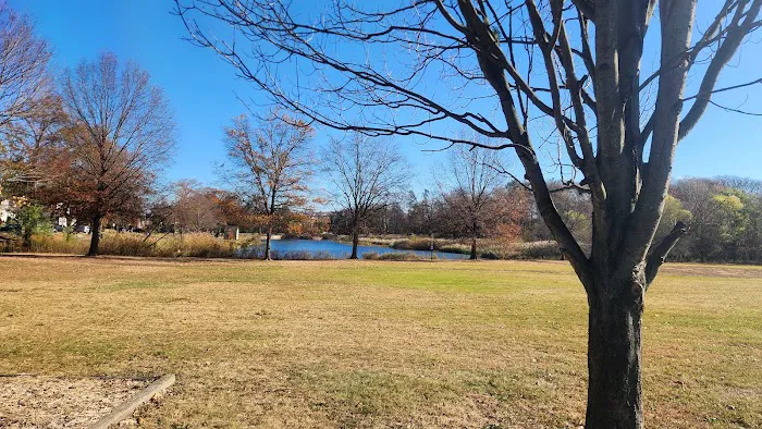 Briant Park Picture 4