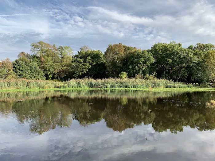 Briant Park Picture 6