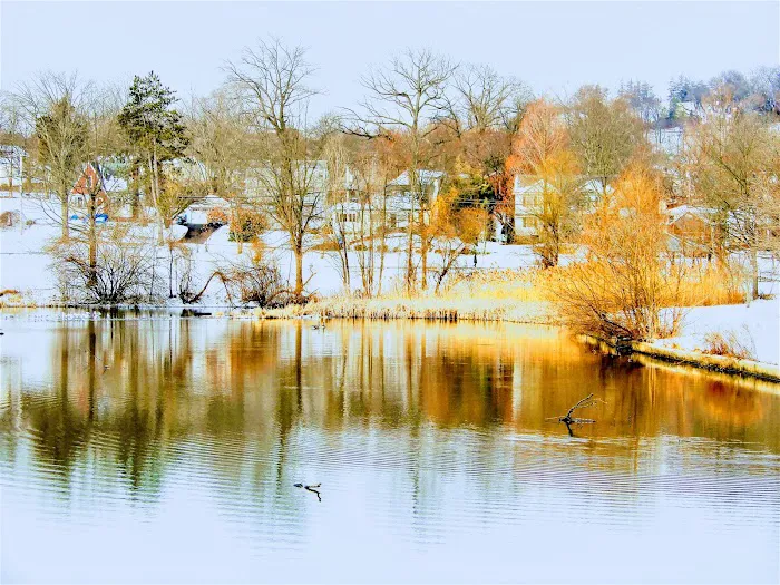 Briant Park Picture 10