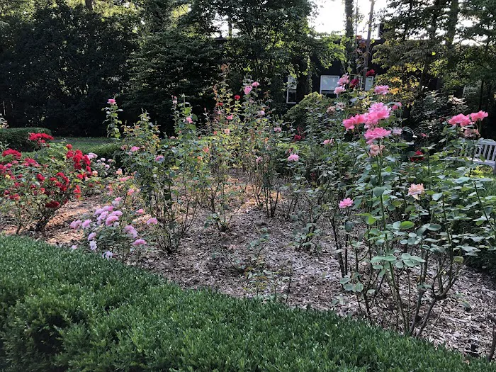 Wallbridge Rose Garden Picture 8