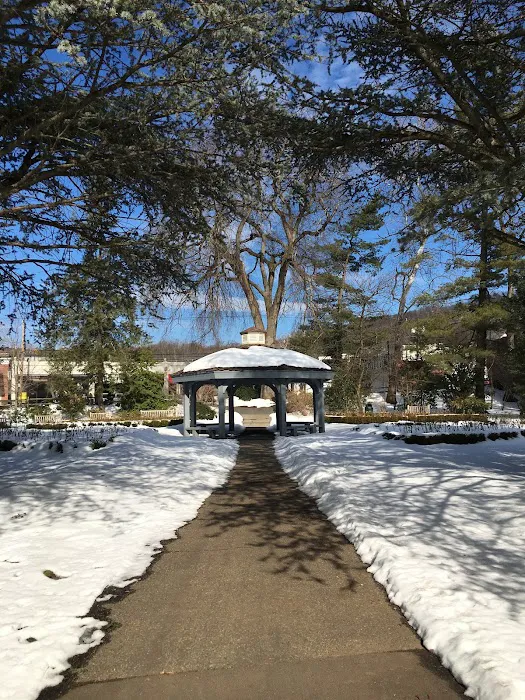 Wallbridge Rose Garden Picture 1