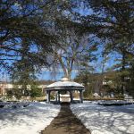 Wallbridge Rose Garden