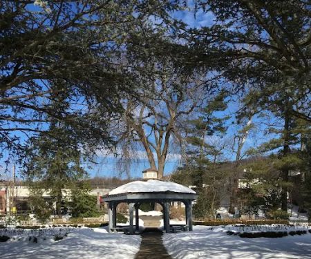 Wallbridge Rose Garden