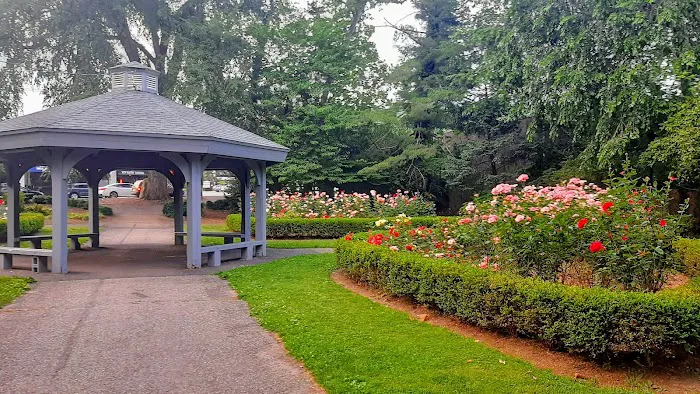 Taylor Park Picture 6