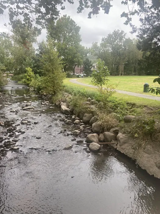 Taylor Park Picture 5