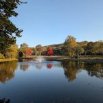 Taylor Park