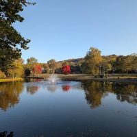Taylor Park ico