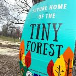 Tiny Forest