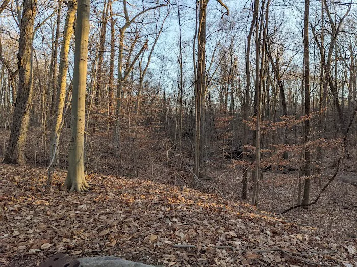 Passaic River Park Picture 1