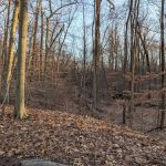 Passaic River Park