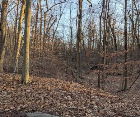 Passaic River Park